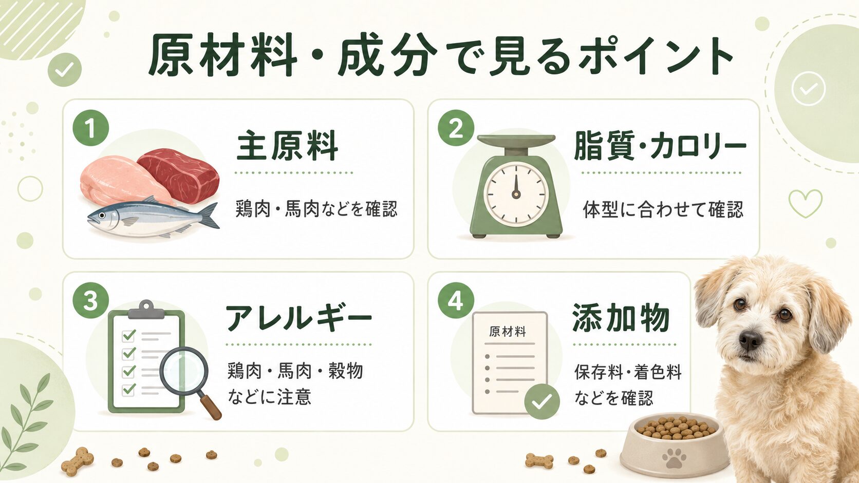 ミシュワンシニア犬用プレミアムフードが向いている犬と注意が必要な犬を整理した図解