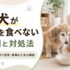 老犬がご飯を食べない原因と対処法を解説する記事のアイキャッチ画像。フードボウルの前で食欲が落ちたシニア犬を、飼い主がやさしく見守っている様子。