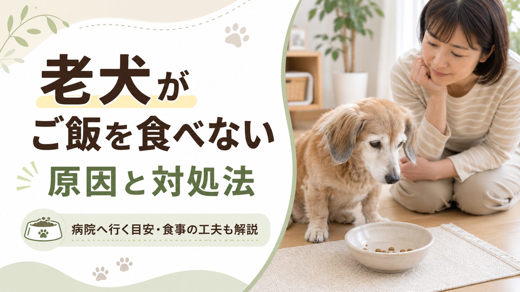 老犬がご飯を食べない原因と対処法を解説する記事のアイキャッチ画像。フードボウルの前で食欲が落ちたシニア犬を、飼い主がやさしく見守っている様子。