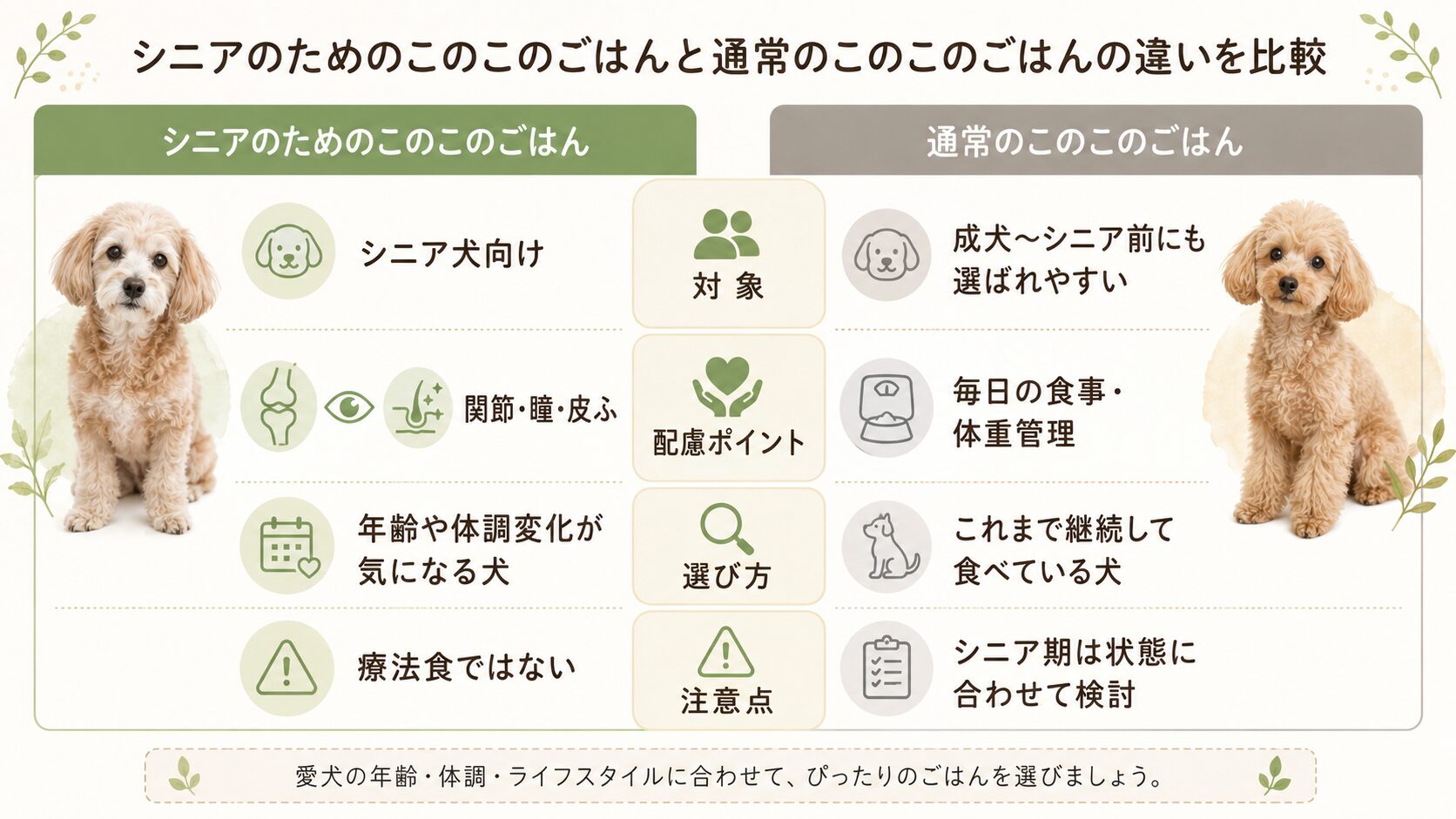 シニアのためのこのこのごはんと通常のこのこのごはんの違いを比較した図解