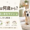 シニア犬の年齢目安や老化サイン、暮らし方の見直しを解説する記事用のアイキャッチ画像