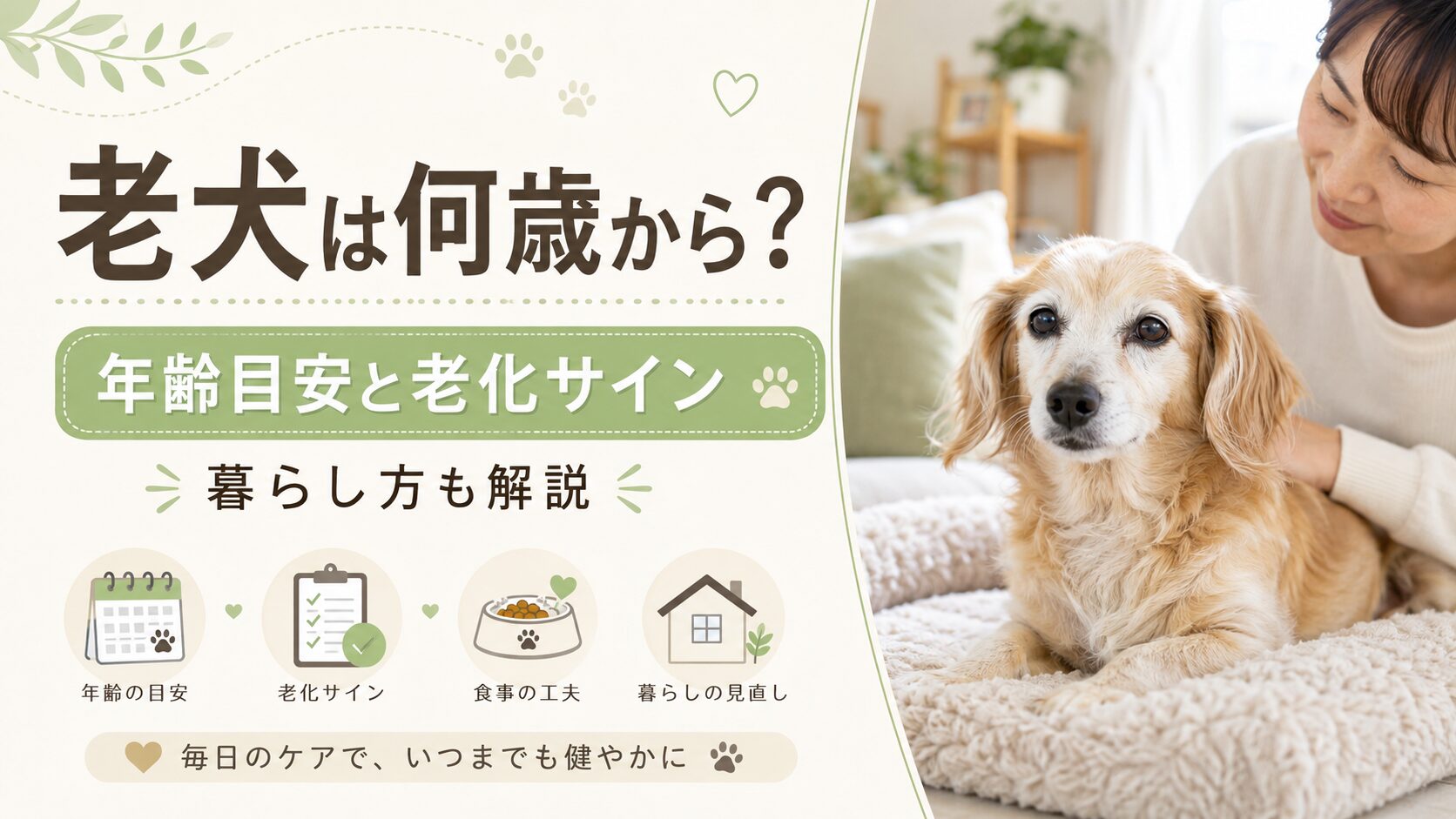 シニア犬の年齢目安や老化サイン、暮らし方の見直しを解説する記事用のアイキャッチ画像