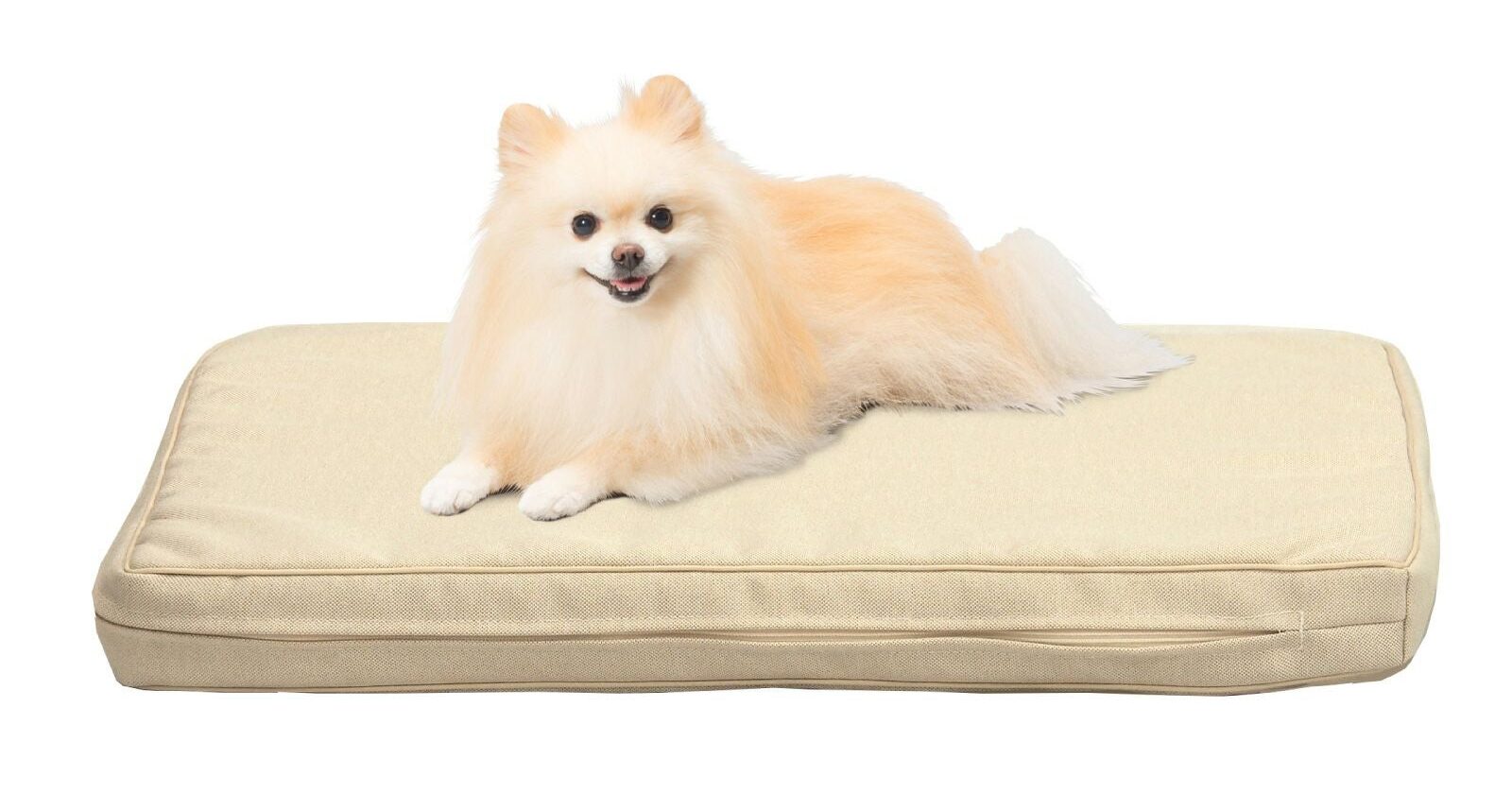 爽快潔Living ペットケアマットNEOに横になるシニア犬