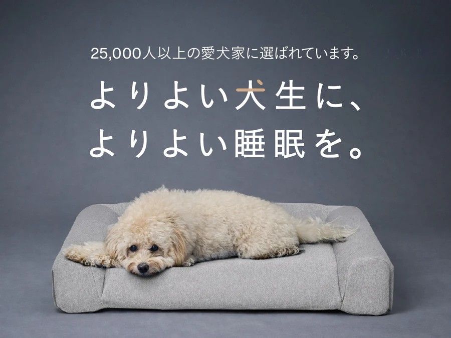 低いスロープ入口を備えたguguシニア犬用ベッド