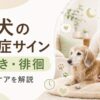 老犬の認知症サインや夜鳴き・徘徊への対応、家庭でできるケアを解説する記事用アイキャッチ画像