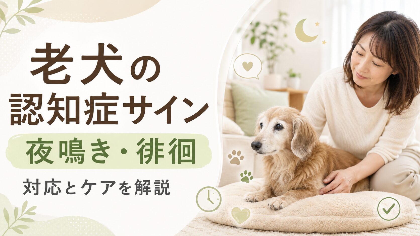 老犬の認知症サインや夜鳴き・徘徊への対応、家庭でできるケアを解説する記事用アイキャッチ画像
