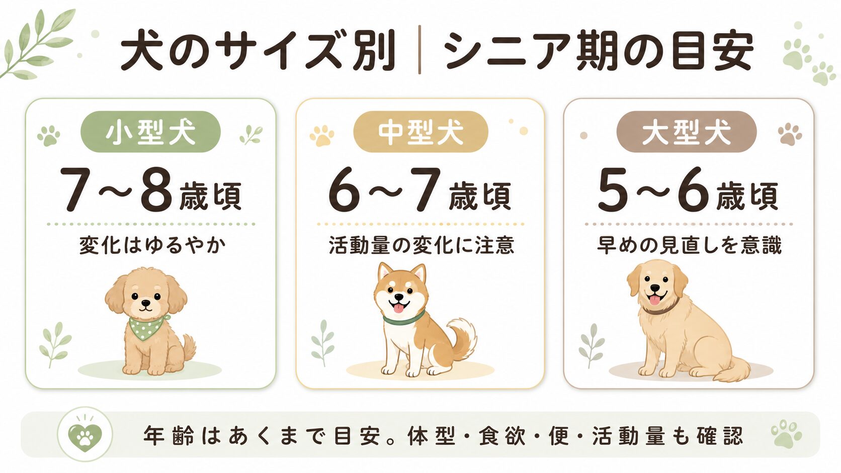 小型犬・中型犬・大型犬ごとのシニア期の目安をまとめた図解