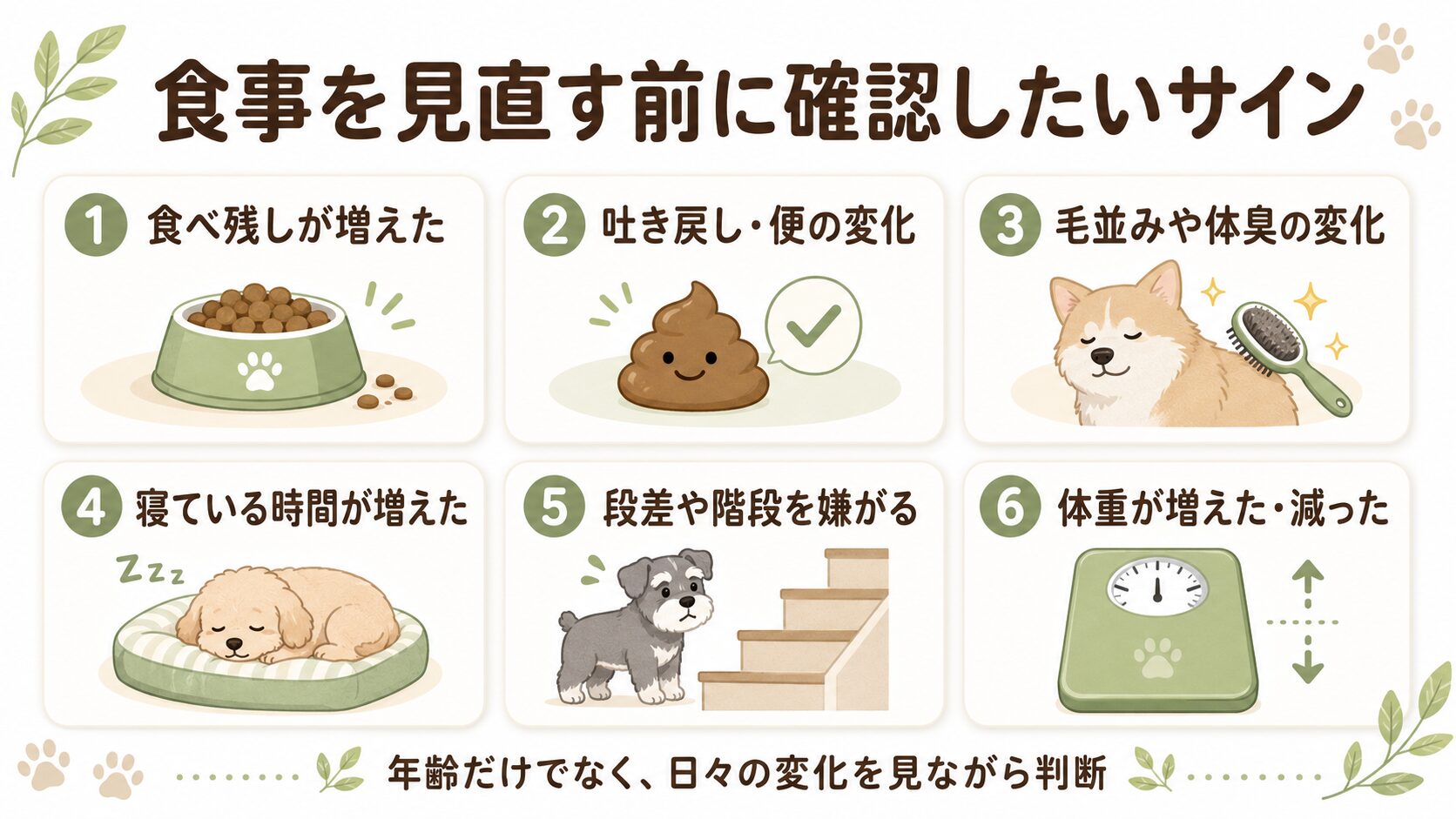 シニア犬の食事を見直す前に確認したい体調や生活の変化をまとめた図解