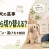 シニア犬の食事をいつから切り替えるか悩む飼い主と老犬のアイキャッチ画像