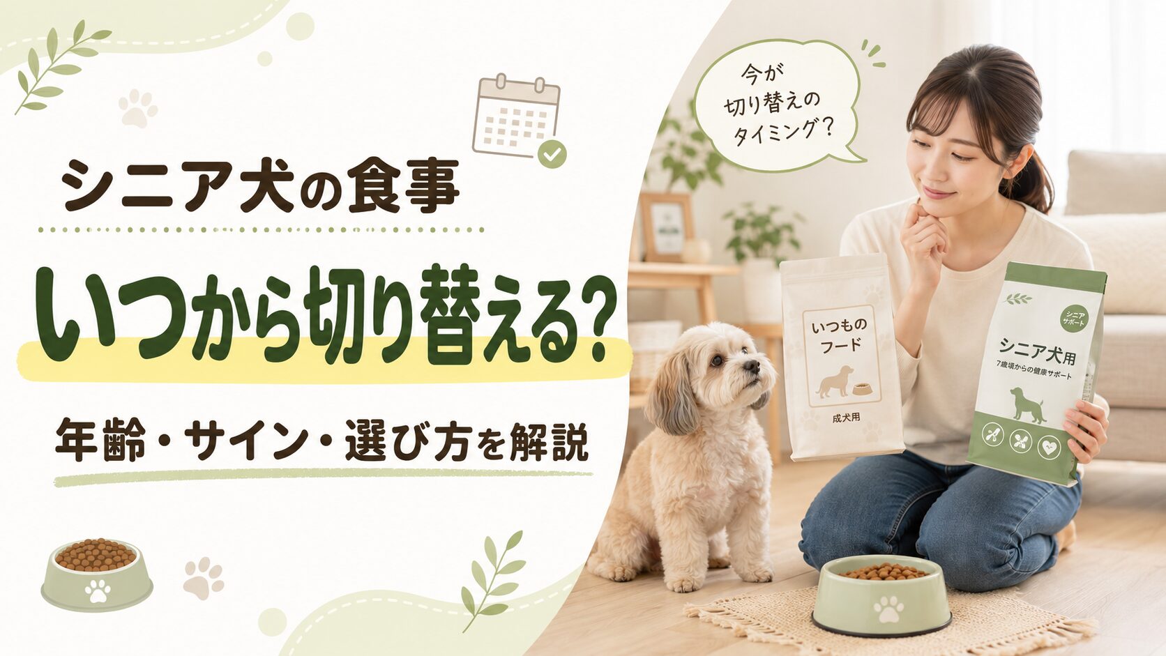 シニア犬の食事をいつから切り替えるか悩む飼い主と老犬のアイキャッチ画像
