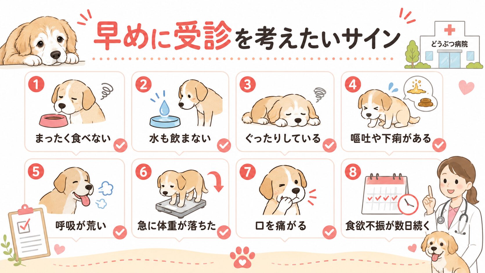 老犬がご飯を食べないときに受診を考えたいサインをまとめた図解