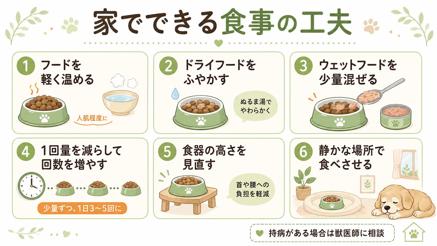 老犬がご飯を食べないときに家で試しやすい工夫をまとめた図解