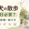 老犬の散歩は毎日必要か、時間や距離、無理のない続け方を解説する記事用アイキャッチ画像