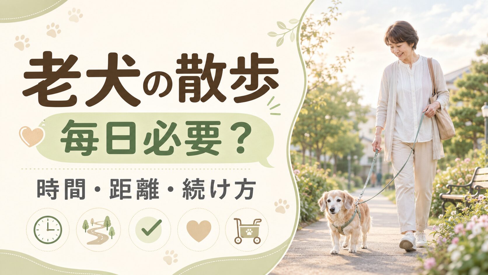 老犬の散歩は毎日必要か、時間や距離、無理のない続け方を解説する記事用アイキャッチ画像