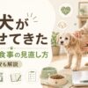 老犬が痩せてきた原因と食事の見直し方、受診目安を解説する記事のアイキャッチ画像