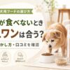 老犬がフードを食べないときにミシュワン シニア犬用が合うかを解説する記事のアイキャッチ画像。シニア犬、飼い主、フードボウル、小粒フードのイメージを明るい室内で描いたデザイン