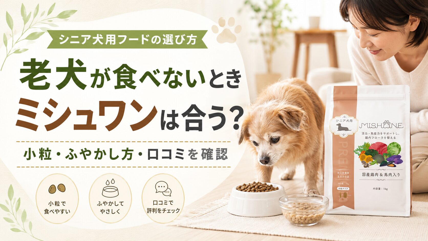 老犬が食べないときにミシュワンは合う？口コミ・ふやかし方・注意点を