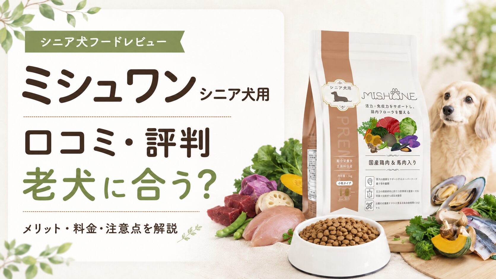老犬が食べないときにミシュワンは合う？口コミ・ふやかし方・注意点を