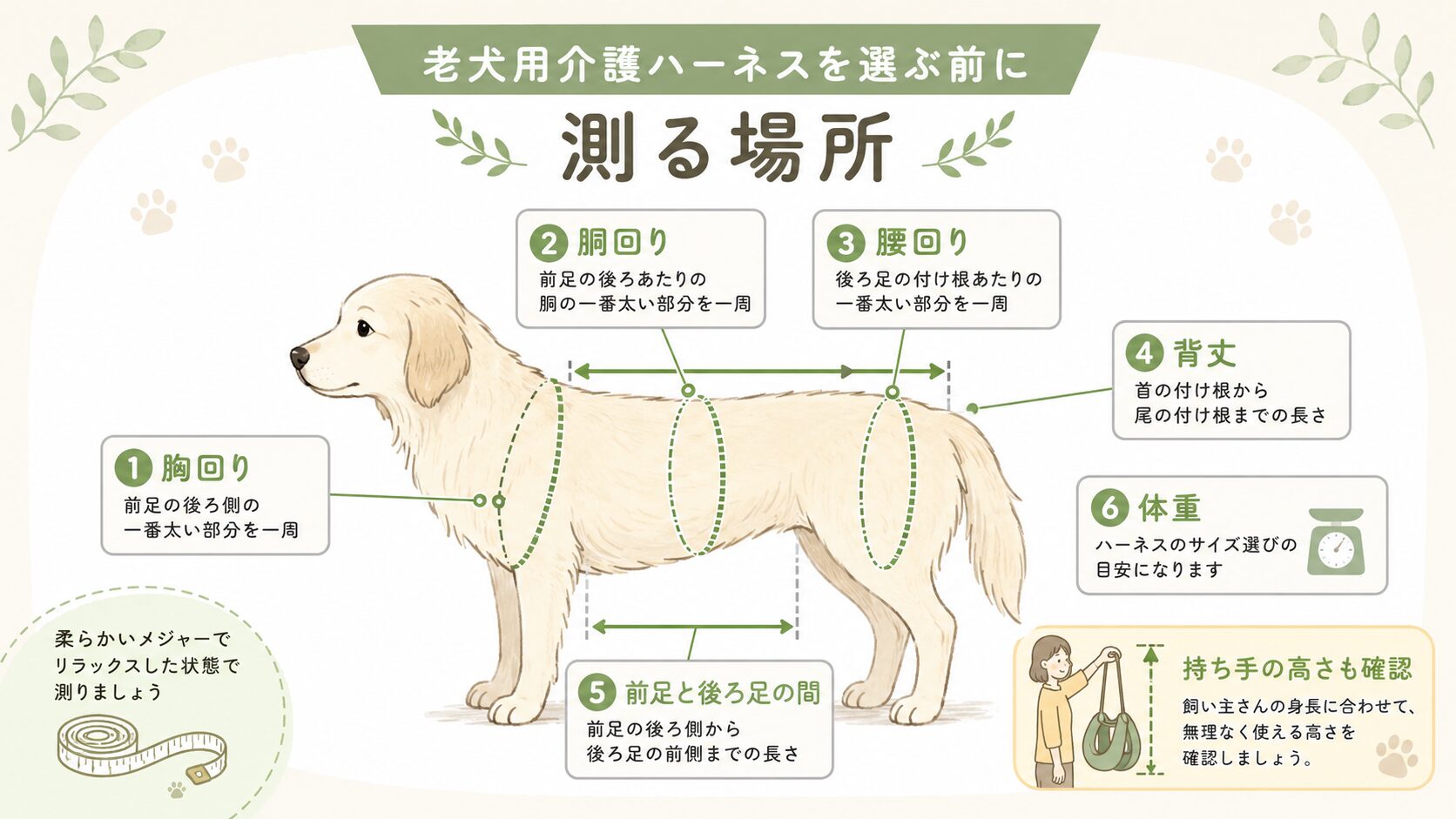 老犬用介護ハーネスを選ぶ前に犬のどこを測るかを示した図解