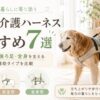 立ち上がりにくくなった老犬を飼い主がやさしく支えている介護ハーネス紹介記事のアイキャッチ画像