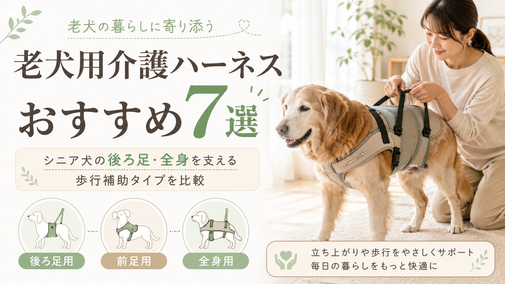 立ち上がりにくくなった老犬を飼い主がやさしく支えている介護ハーネス紹介記事のアイキャッチ画像