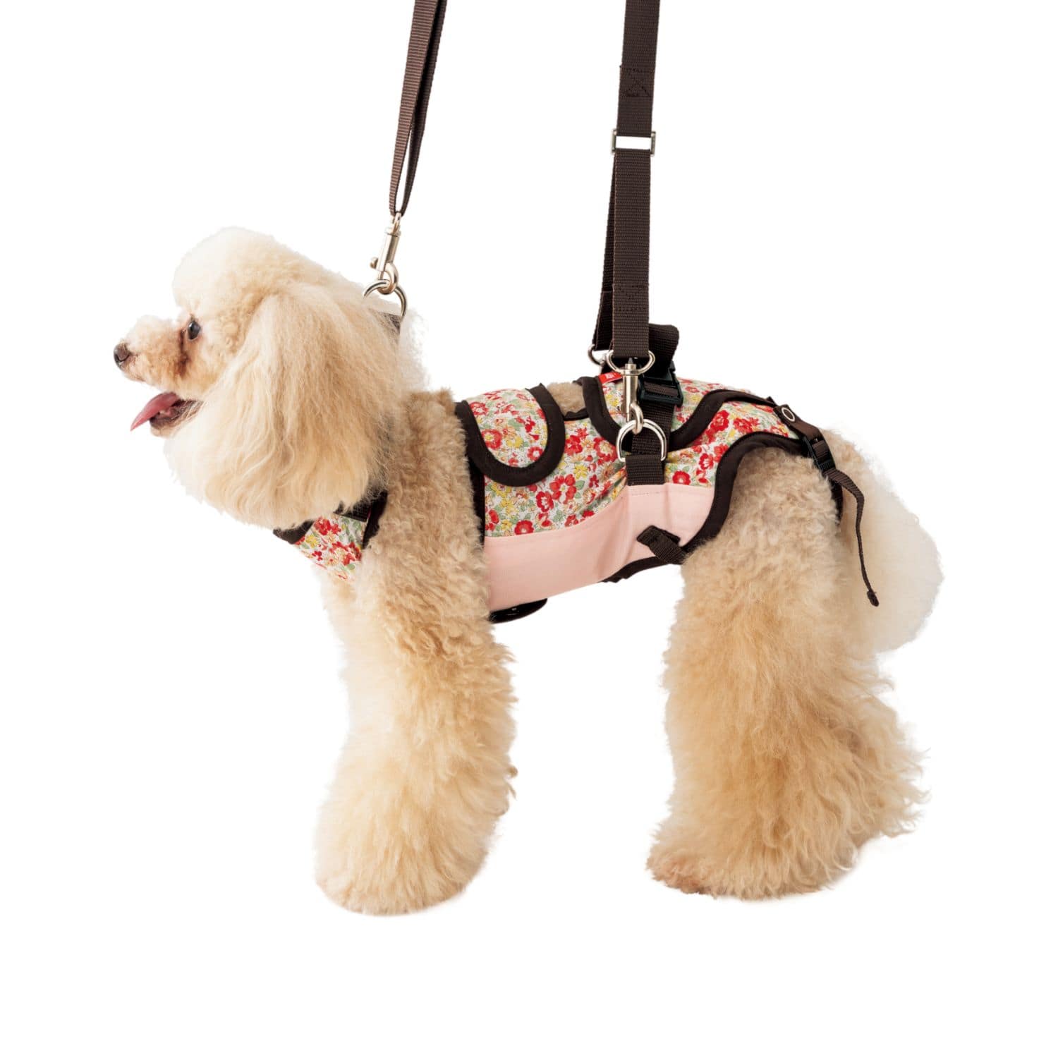 LaLaWalk 小型犬用 フラワー 2TB0030