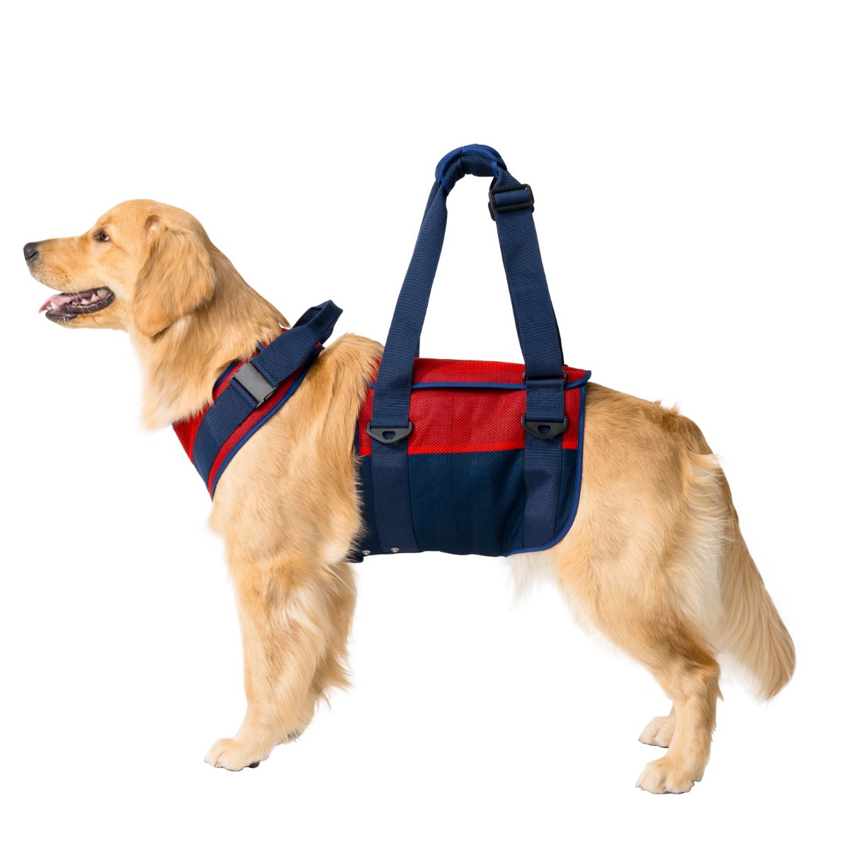 介護ハーネス LaLaWalk 大型犬用 スカーレットメッシュ
