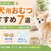 老犬用おむつおすすめ7選の記事アイキャッチ画像