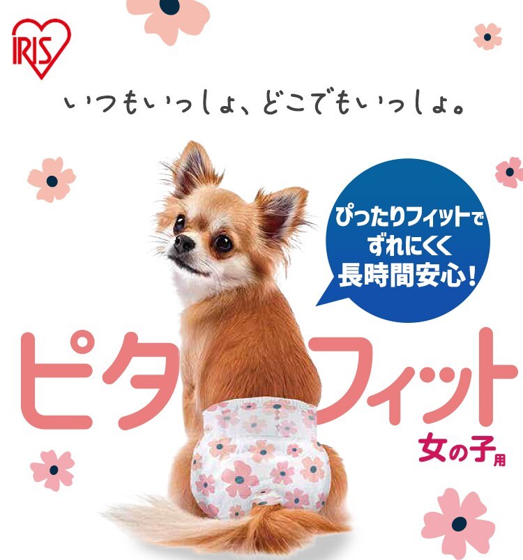 アイリスオーヤマ ピタフィット 女の子用の商品画像