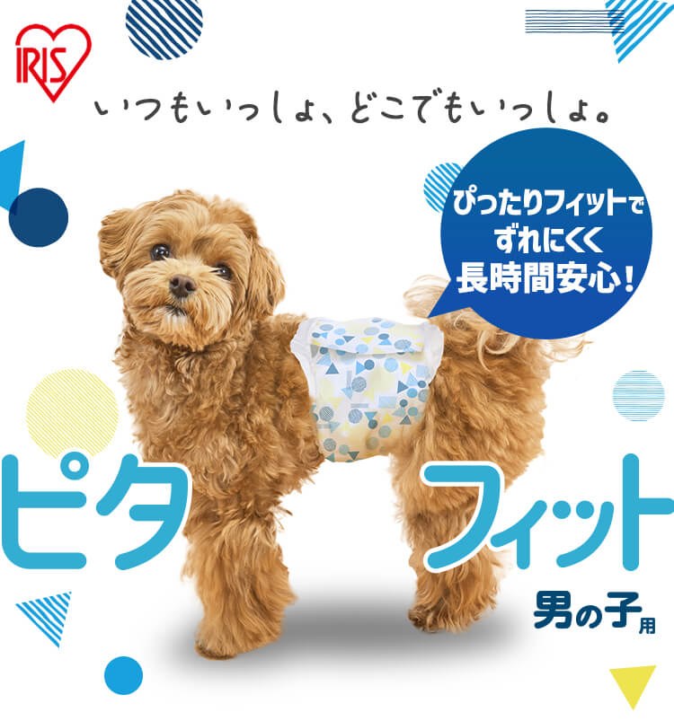 アイリスオーヤマ ピタフィット 男の子用の商品画像