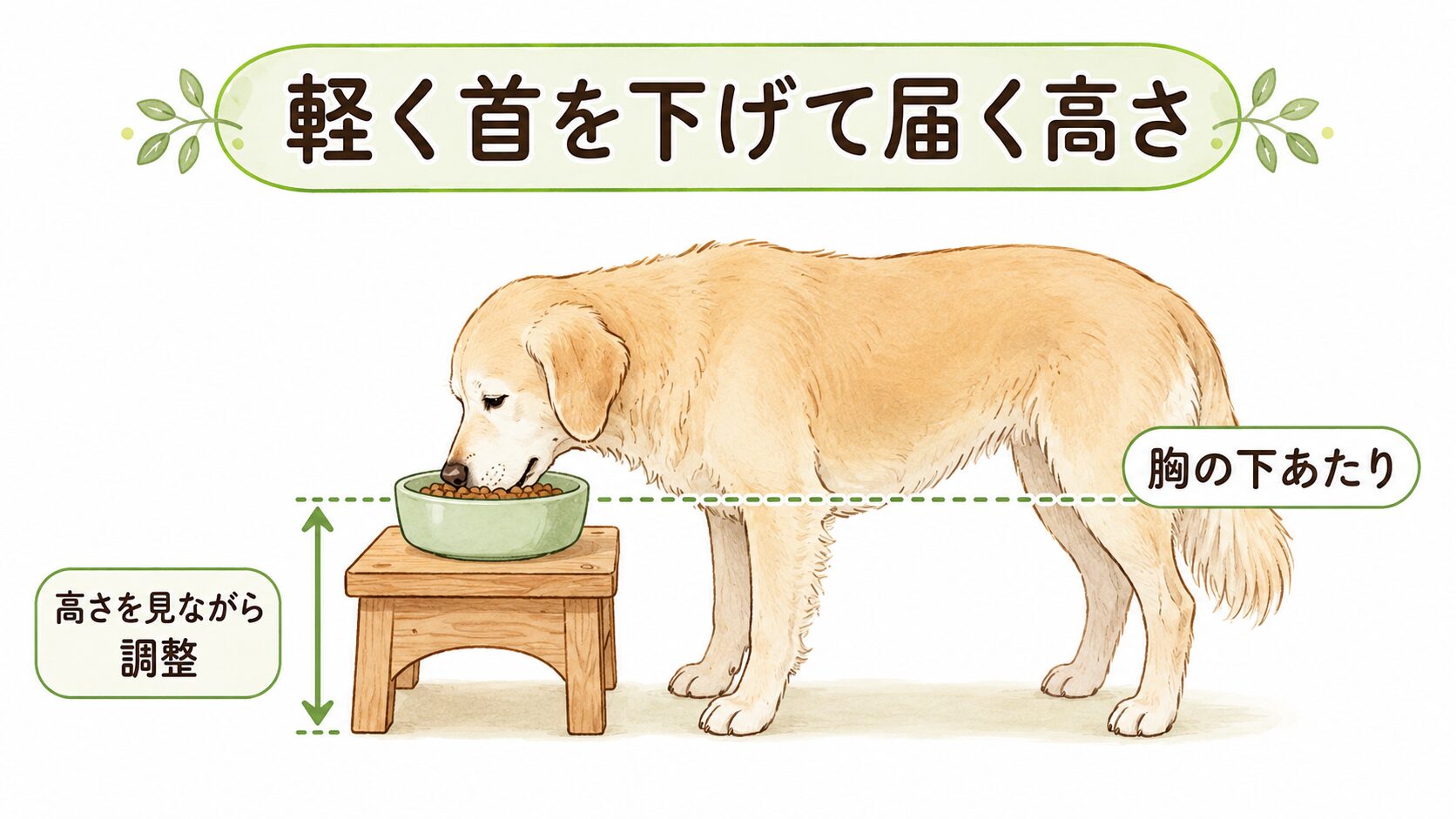 老犬用食器台の高さについて、軽く首を下げて自然に口が届く位置を示した図解