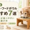 老犬用食器台・フードボウルおすすめ7選と、シニア犬が食べやすい高さや選び方を紹介する記事のアイキャッチ画像
