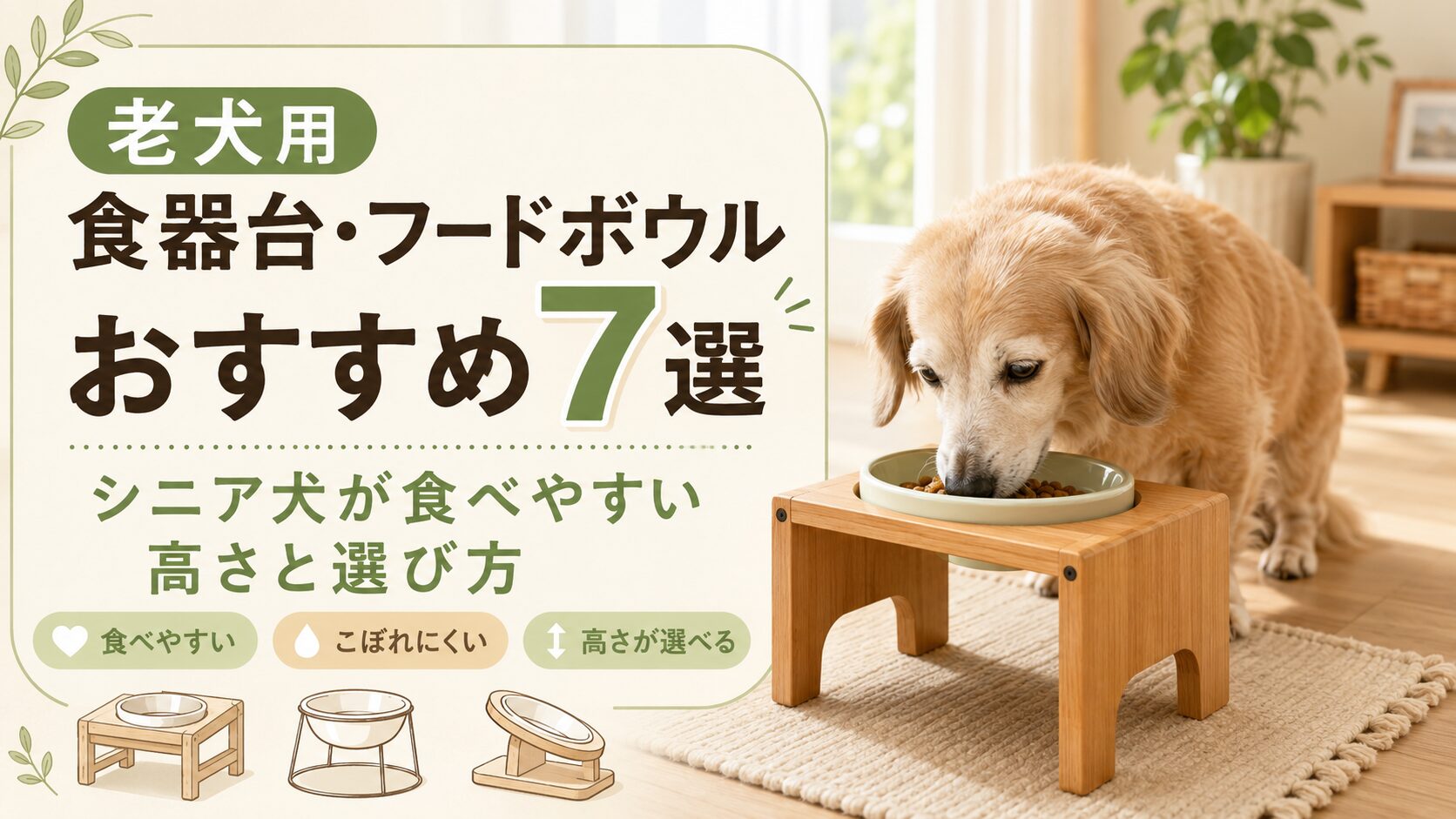 老犬用食器台・フードボウルおすすめ7選と、シニア犬が食べやすい高さや選び方を紹介する記事のアイキャッチ画像