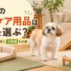 老犬の足腰ケア用品として滑り止めマット、ベッド、スロープ、介護ハーネス、食器台を紹介するアイキャッチ画像