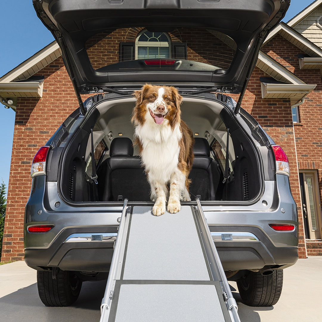 車の荷室に設置したPetSafe Happy Ride伸縮式ドッグスロープ