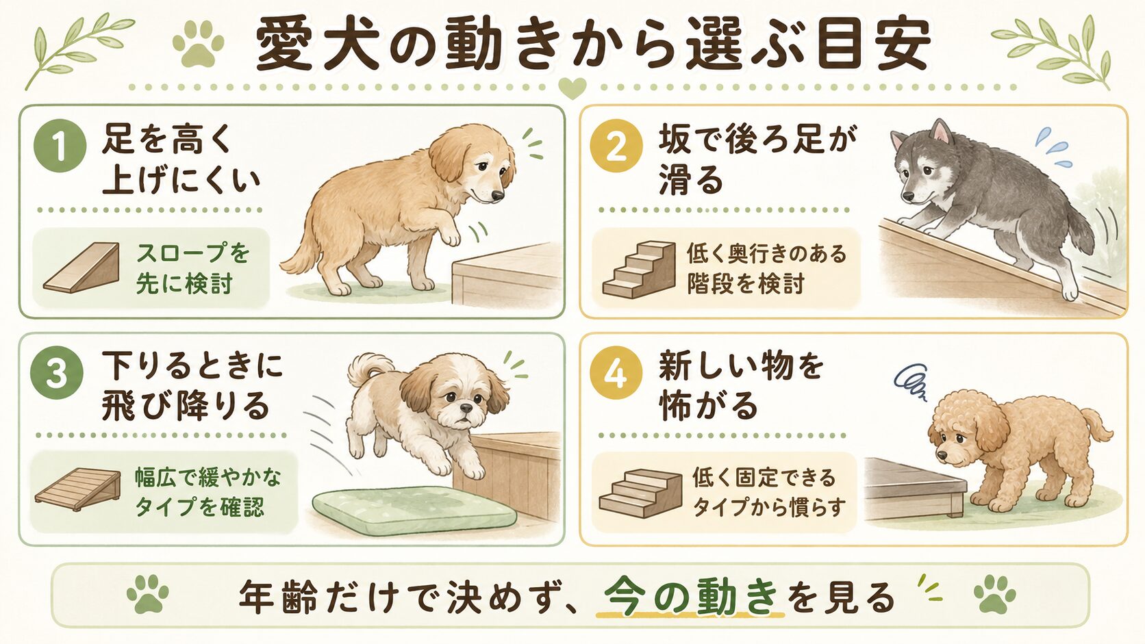 老犬の動きの違いからスロープと階段のどちらを先に検討するかを整理した図解