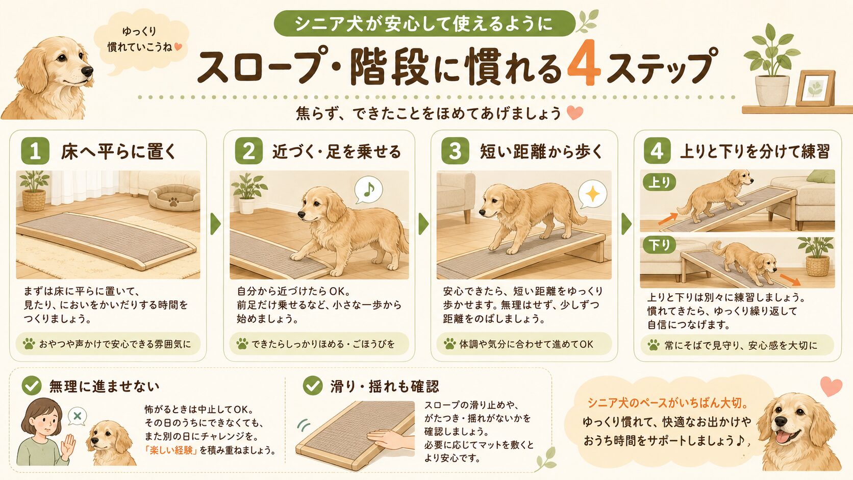 老犬がスロープや階段に少しずつ慣れていく手順を4ステップで示した図解