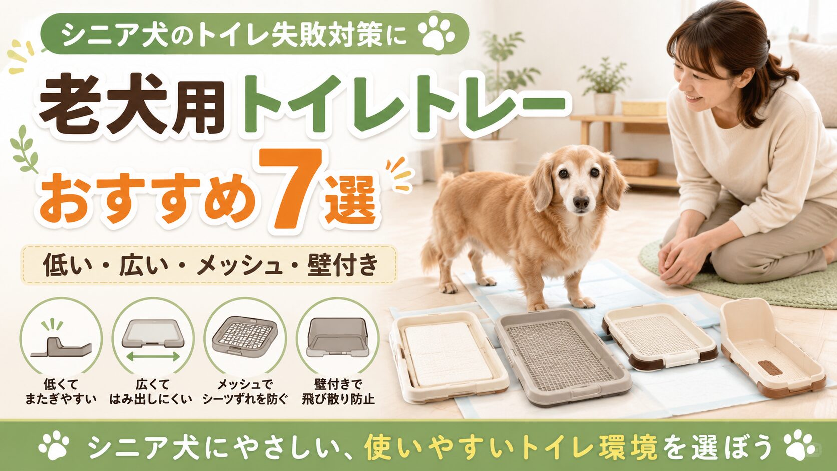 老犬用トイレトレーおすすめ7選の記事アイキャッチ画像。シニア犬と飼い主、低段差・広め・メッシュ付き・壁付きトイレを明るく清潔な室内で描いたデザイン