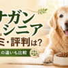 カナガン シニアの口コミ・評判と通常版との違いを解説する記事のアイキャッチ画像