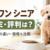 モグワン シニアの口コミ・評判と通常版との違いを紹介するシニア犬のアイキャッチ画像