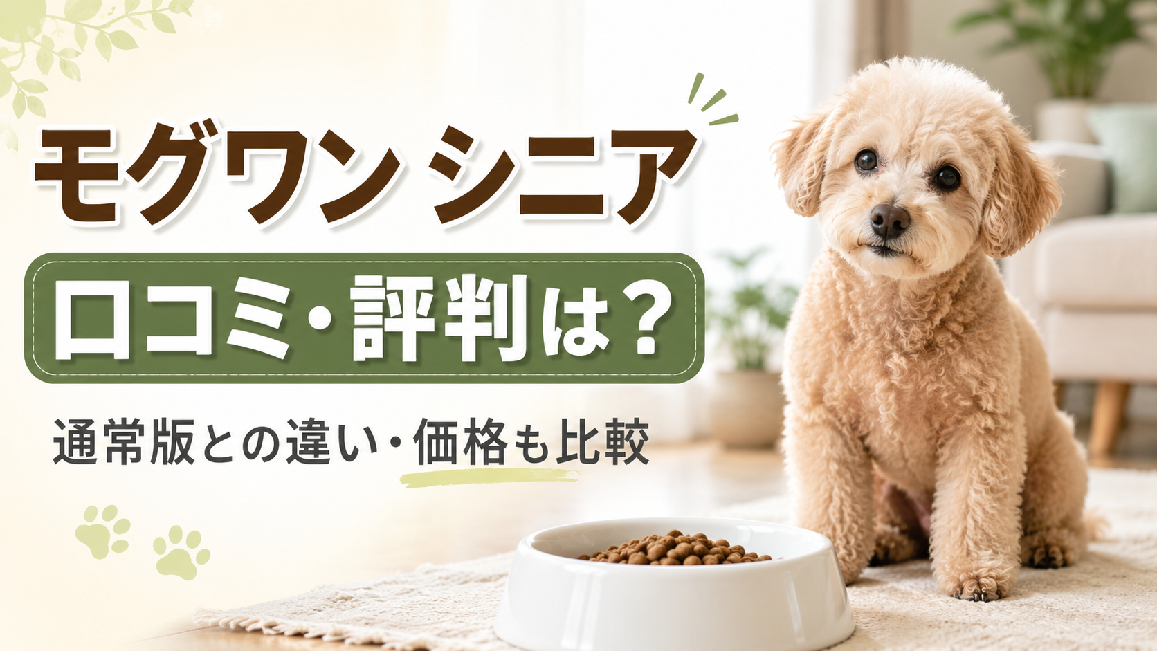 モグワン シニアの口コミ・評判と通常版との違いを紹介するシニア犬のアイキャッチ画像