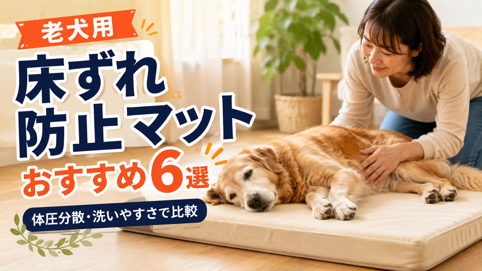 老犬用床ずれ防止マットおすすめ6選を紹介するシニア犬と介護マットのアイキャッチ画像