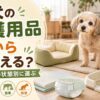 老犬の介護用品としてベッド、介護ハーネス、食器台、トイレ用品などを紹介するアイキャッチ画像